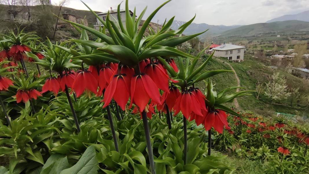 Bu insanlar neye bakıyor? Gece-gündüz nöbet tutuyorlar, ilk kez görenler şaştı kaldı! 41